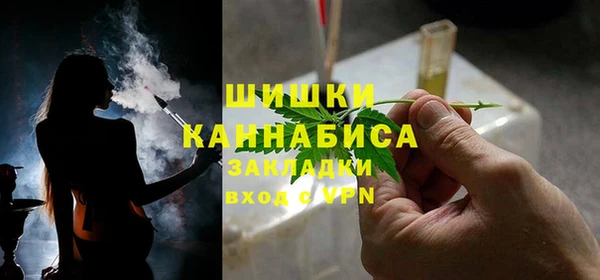 индика Тобольск