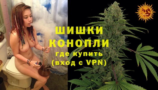 метадон Горняк