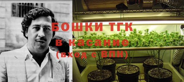 метадон Горняк