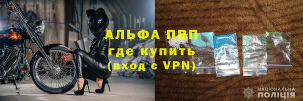 индика Тобольск
