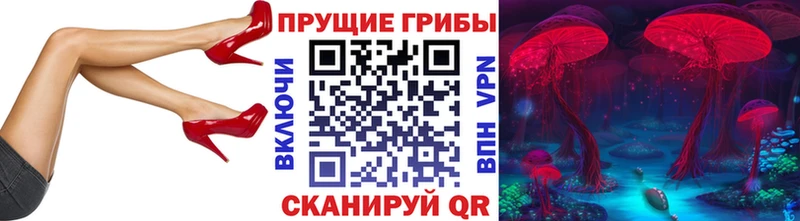 ссылка на мегу ТОР  Мценск  Псилоцибиновые грибы MAGIC MUSHROOMS 