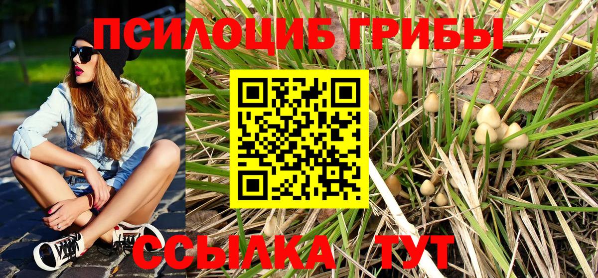 Галлюциногенные грибы Psilocybe  Псилоцибиновые грибы мицелий  Вход с VPN  Мценск 