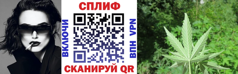 Бошки марихуана сатива  Мценск 